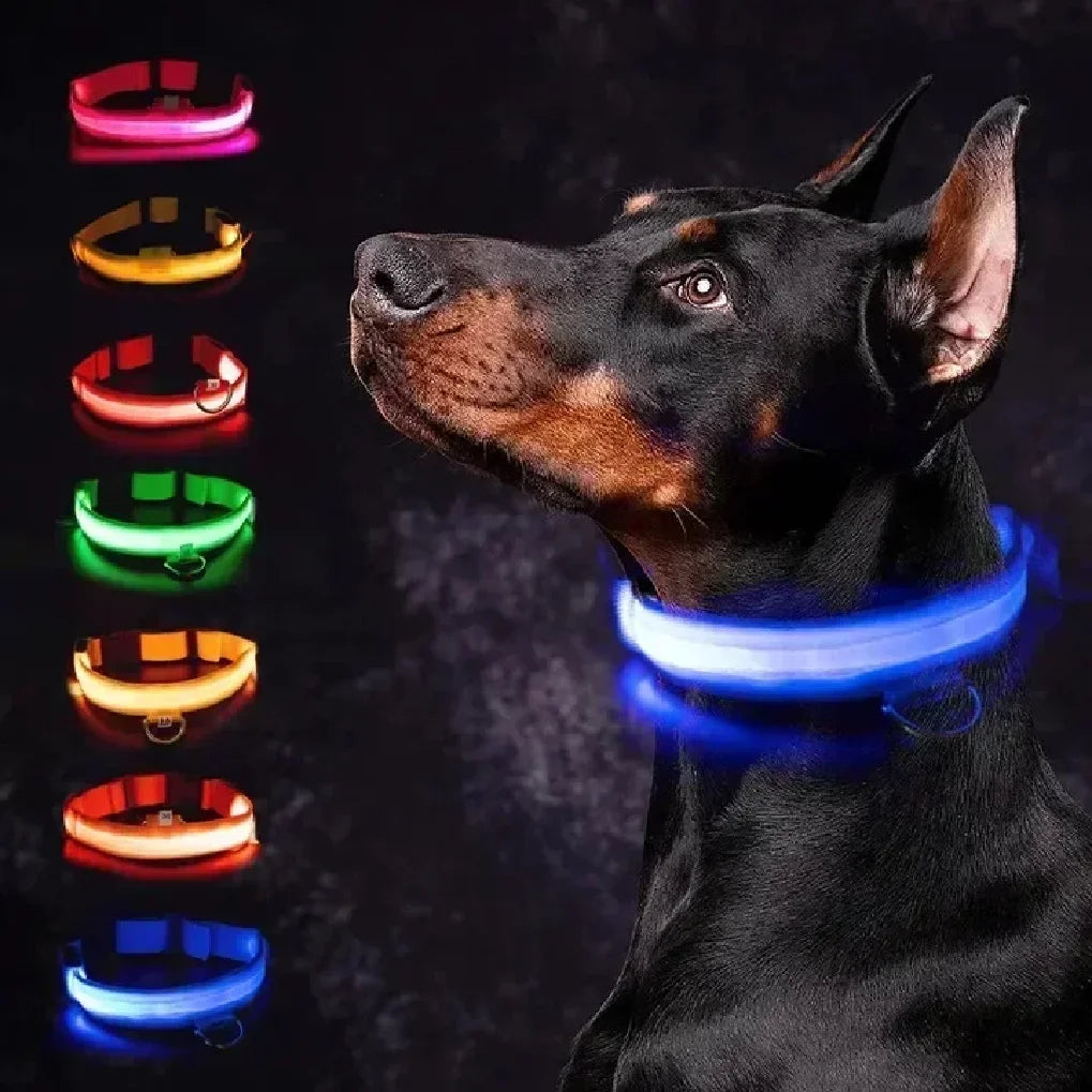 Coleira de cachorro brilhante com led, ajustável, recarregável, luminosa, noturna, anti-perda, luz para cães pequenos, produtos para animais de estimação