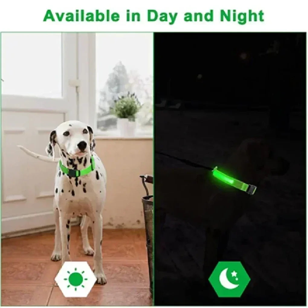 Coleira de cachorro brilhante com led, ajustável, recarregável, luminosa, noturna, anti-perda, luz para cães pequenos, produtos para animais de estimação
